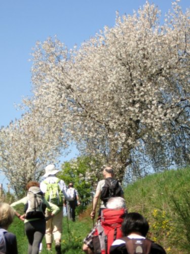 randonnée en limousin au printemps randonnée en limousin au printemps