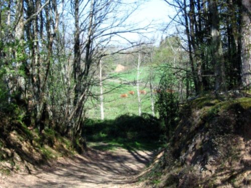 randonnée en limousin randonnée en limousin