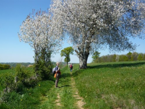 randonnée en limousin; notre présidente! randonnée en limousin; notre présidente!