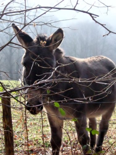 randonnée en limousin randonnée en limousin