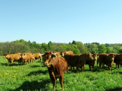 randonnée en limousin randonnée en limousin